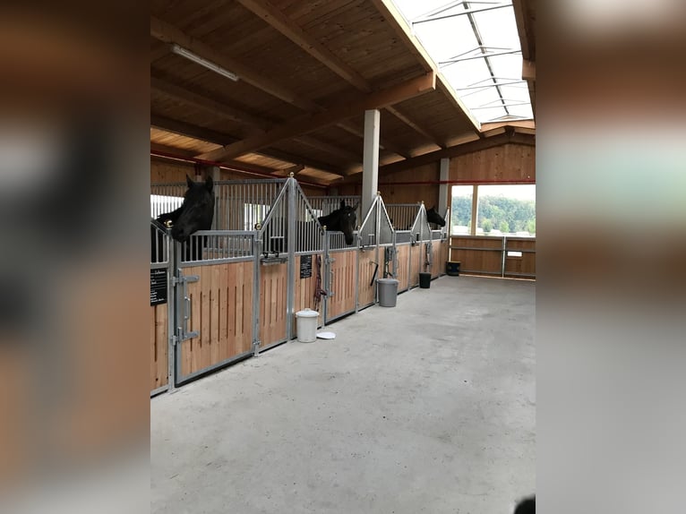 Premium-Reitanlage in Niederbayern -Perfekte Symbiose aus Eleganz +Funktionalität f. Mensch +Pferd