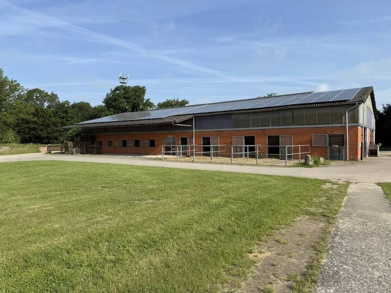 Prestigious, high-quality riding facility in a secluded location north of Hamburg
