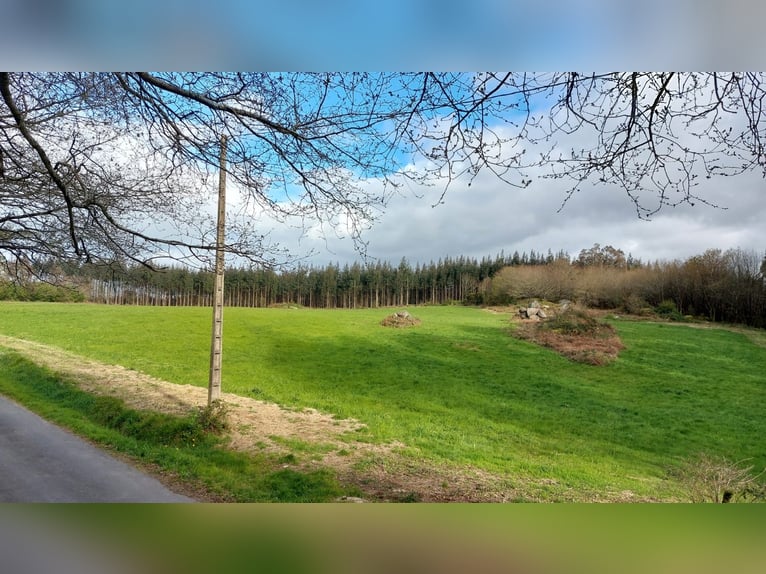 Private finca with a house and equestrian facilities