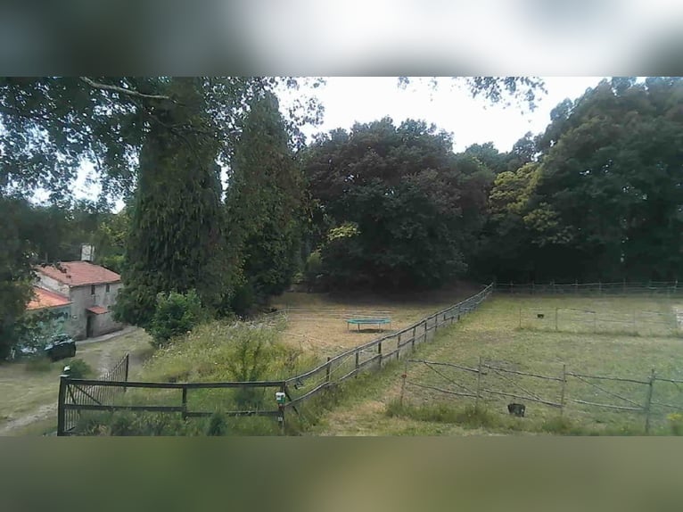 Private finca with a house and equestrian facilities