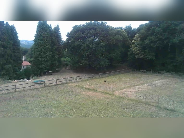 Private finca with a house and equestrian facilities