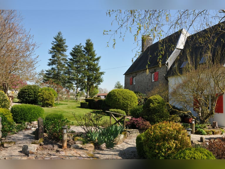 Private, high-quality equestrian property