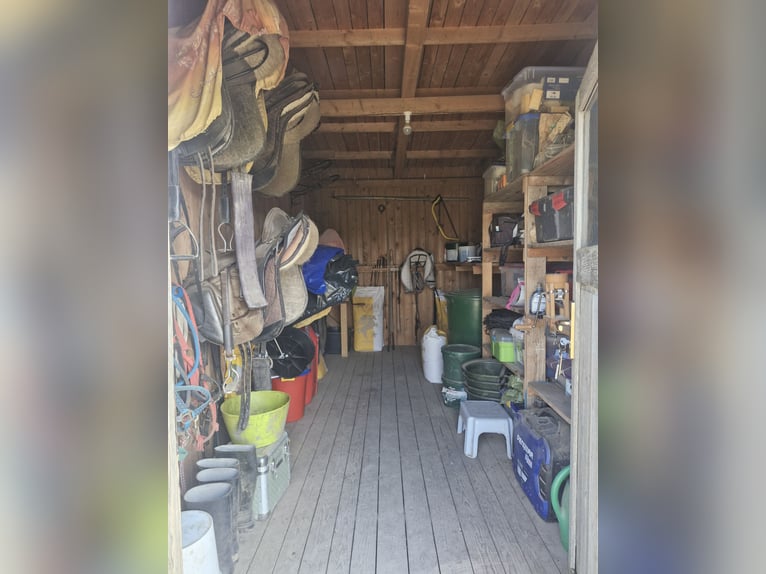 Private paddock stable available for lease on rental land