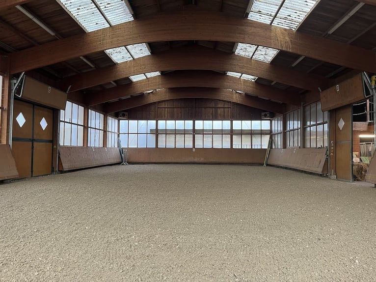 Private Reitanlage - top renoviert inkl. Halle, großer Außenplatz und Wiesen. alles eingezäunt.