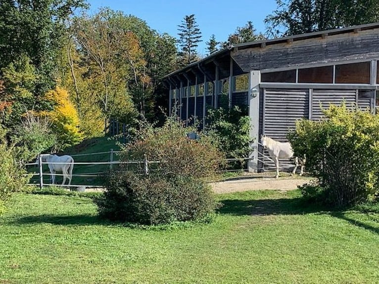 Private riding facility in the Vienna Woods