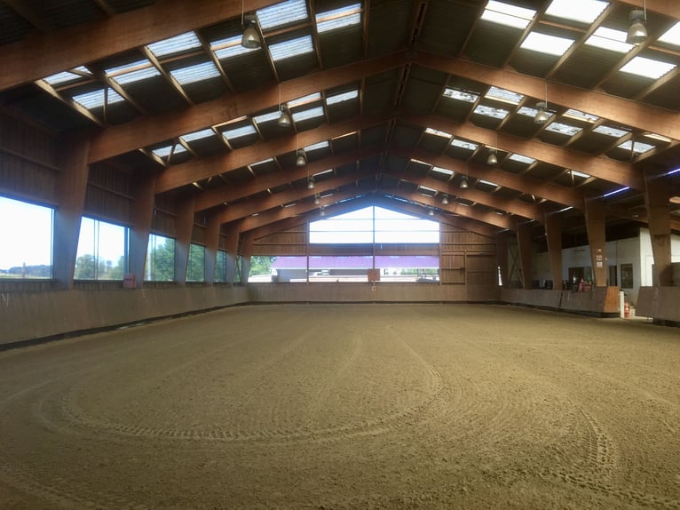 Professional equestrian center in Seine-et-Marne