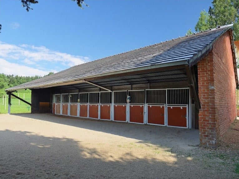 Professional Equestrian Sports Center in North Rhine-Westphalia