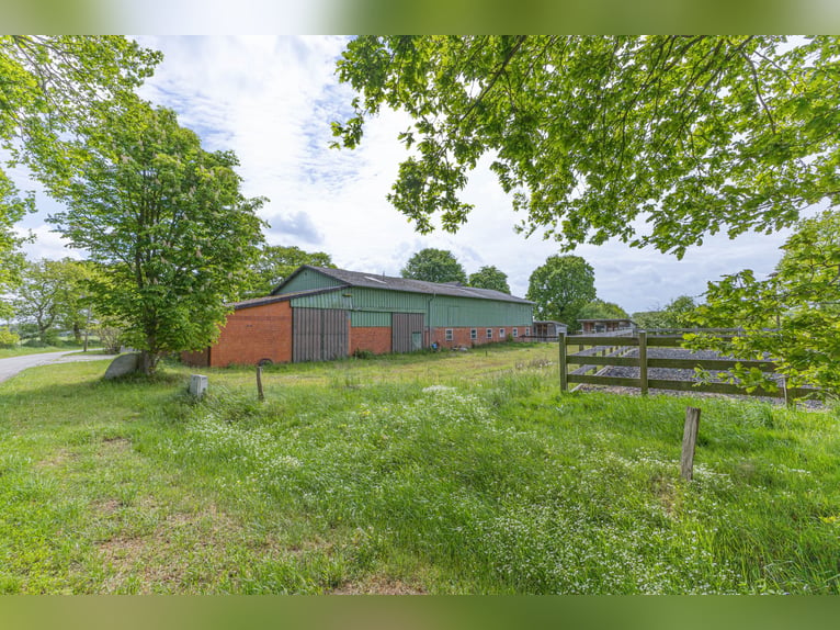 Pure country charm – spacious estate in a peaceful secluded location with approximately 18.5 acres o
