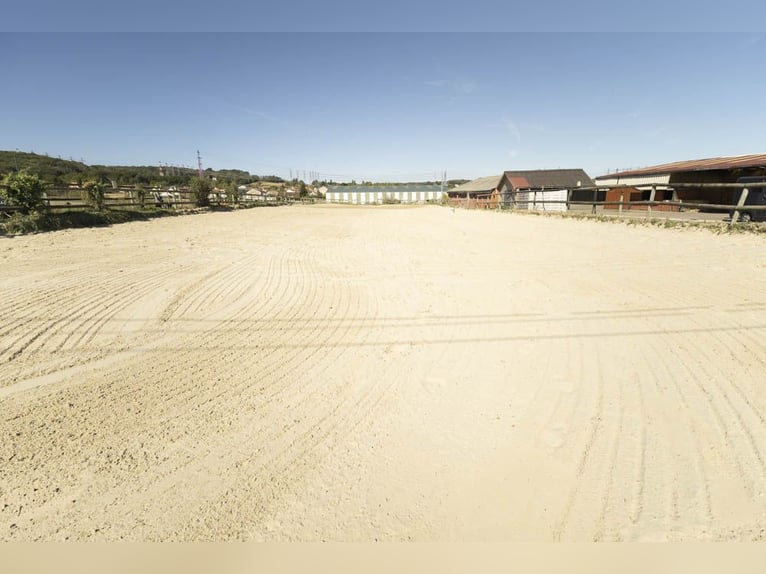 Rare opportunity in Île-de-France