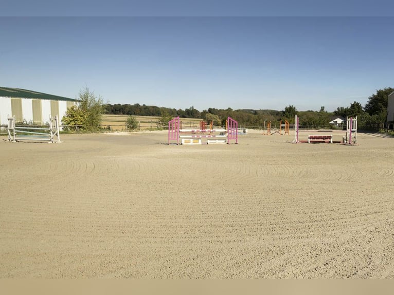 Rare opportunity in Île-de-France