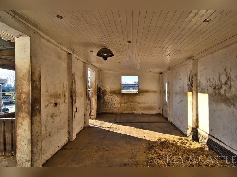 Recently renovated single-family home with horsekeeping facilities in Oberkrämer