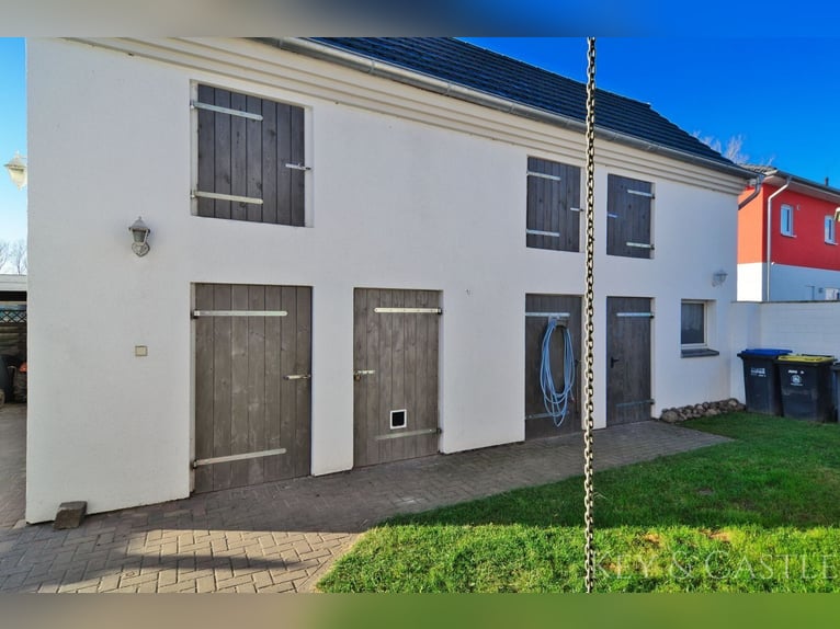 Recently renovated single-family home with horsekeeping facilities in Oberkrämer