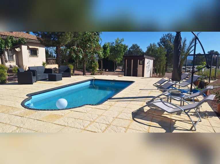 Ref2523SS SPANIEN, Alicante, Monóvar - gut eingeführte Pferde-Gäste-Ranch zu verkaufen!