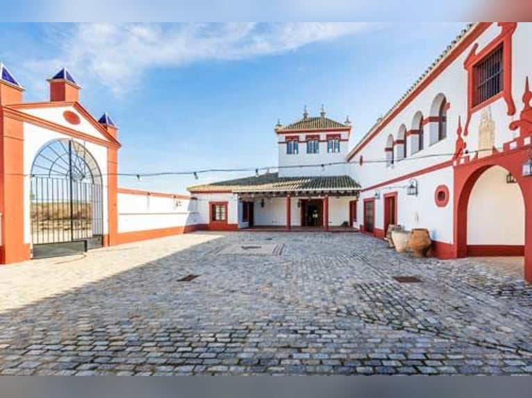 Ref2525FS Andalusien, nahe Sevilla - authentischer Cortijo zu verkaufen!