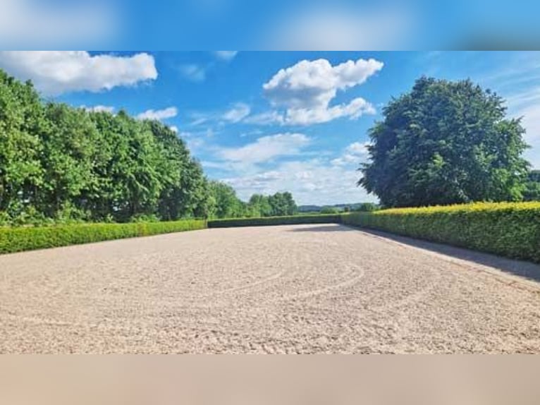 Ref2529 NRW, Nordrhein-Westfalen, Raum 33739 Bielefeld - gepflegte Reitanlage in unverbaubarer Lage