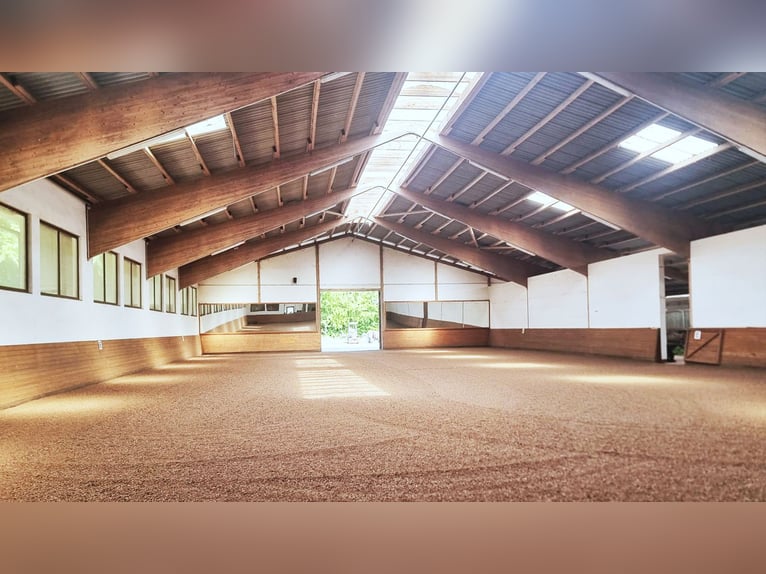 Ref2529 NRW, Nordrhein-Westfalen, Raum 33739 Bielefeld - gepflegte Reitanlage in unverbaubarer Lage