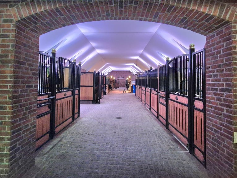 Reitanlage der besonderen Art!