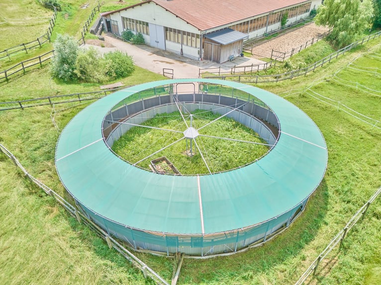 Reitanlage in Bayern mit historischem Wohnhaus und gepflegten Trainingsbedingungen!