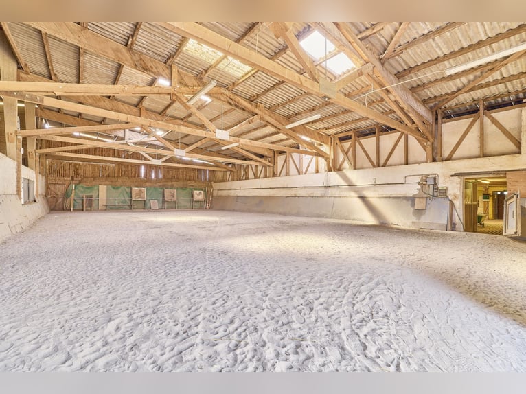 Reitanlage in Eppingen mit Gastronomiebetrieb in malerischer Alleinlage – die Moonlight Ranch!