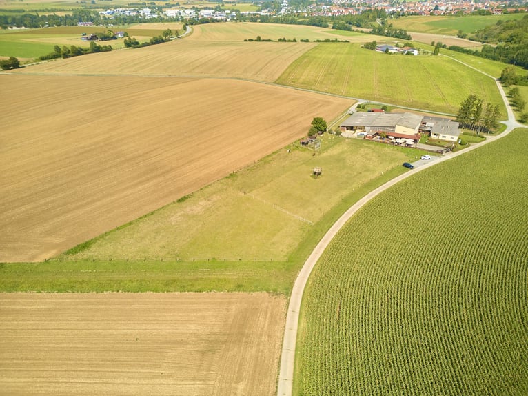 Reitanlage in Eppingen mit Gastronomiebetrieb in malerischer Alleinlage – die Moonlight Ranch!