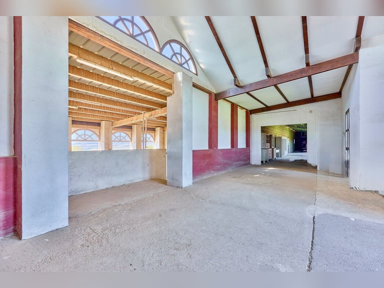 Reitanlage in Lonnig zu verkaufen – in Mitten des Sonderbaugebietes “Wohnen mit Pferden”