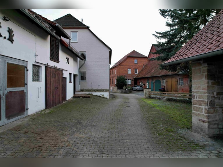 Reiterhof mit großzügigem Wohnhaus im Weserbergland