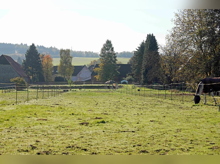 Reiterhof mit großzügigem Wohnhaus im Weserbergland
