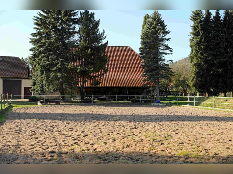 Reiterhof mit großzügigem Wohnhaus im Weserbergland