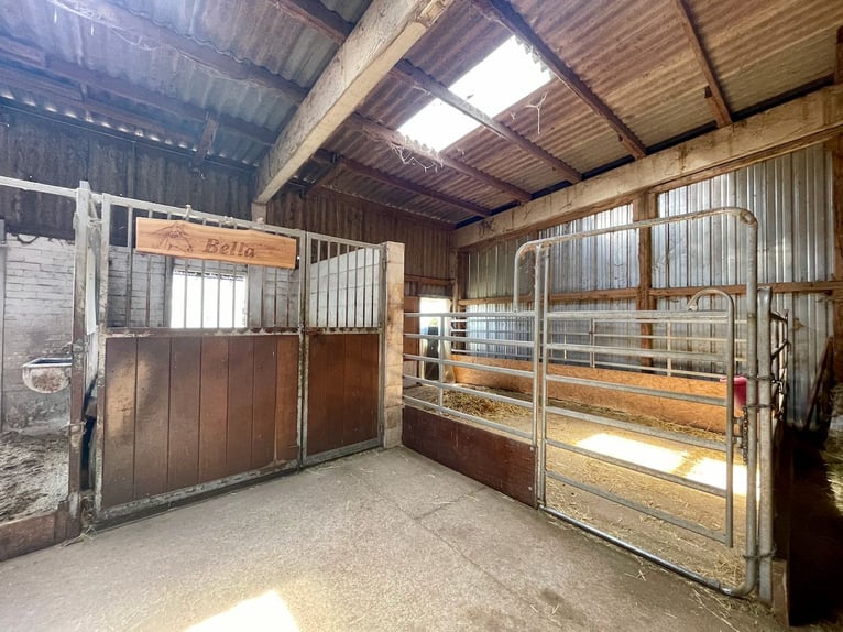 Reiterhof / Reitanlage mit 38 Boxen und idealen Trainingsbedingungen in Hessen!