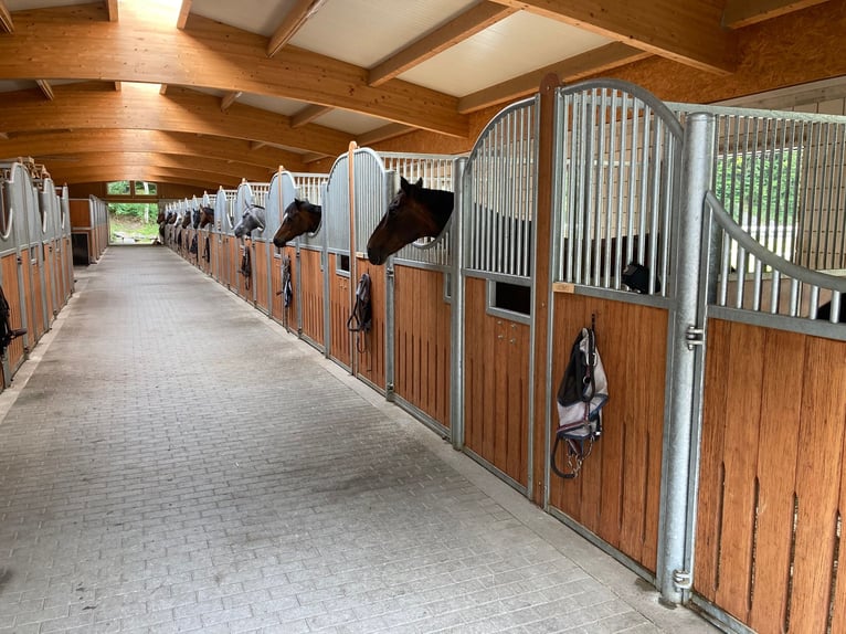 Reitsportanlage für den professionellen Bedarf in der Schweiz