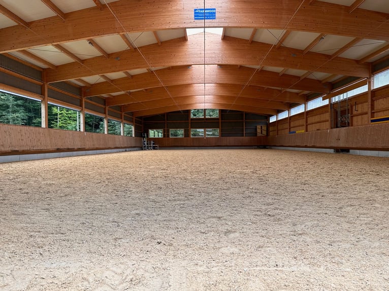 Reitsportanlage für den professionellen Bedarf in der Schweiz