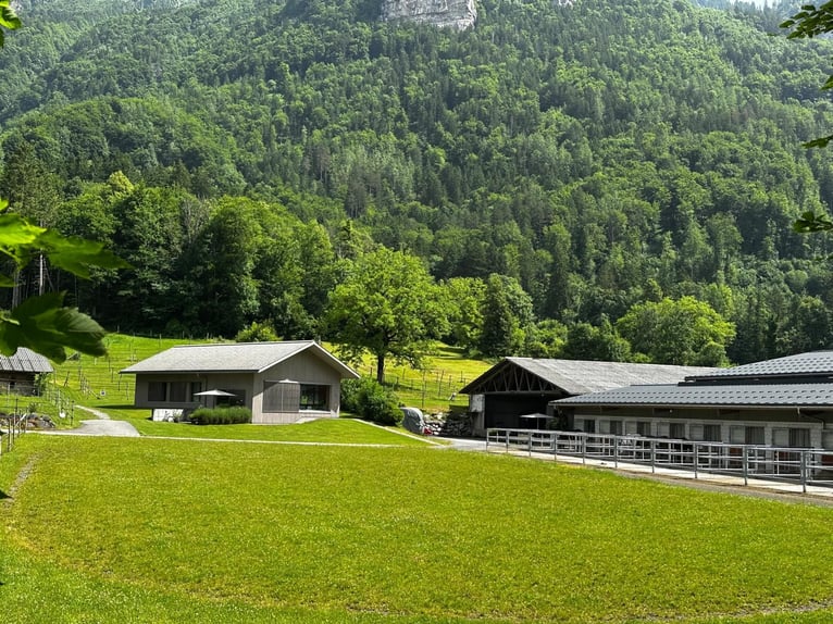 Reitsportanlage für den professionellen Bedarf in der Schweiz