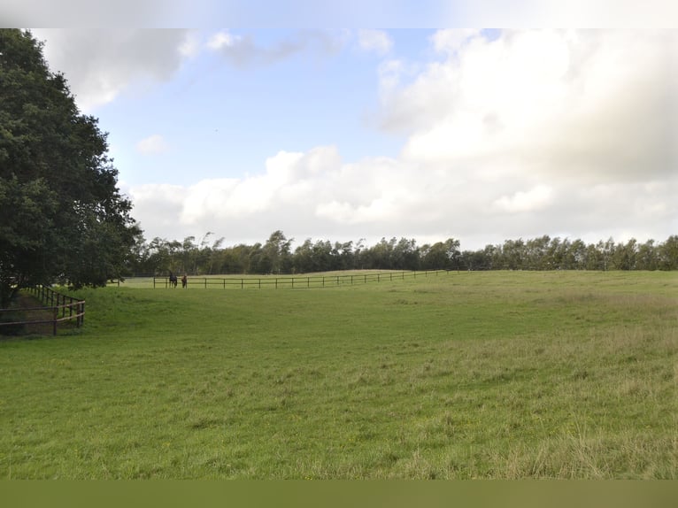 Renovated residential building with six horse stalls, riding area, and pastures enclosed by wooden f