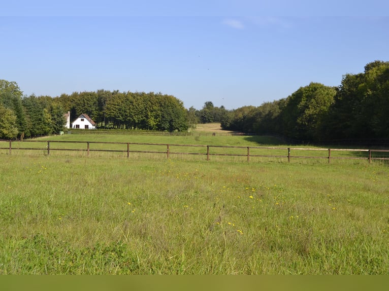 Renovated residential building with six horse stalls, riding area, and pastures enclosed by wooden f