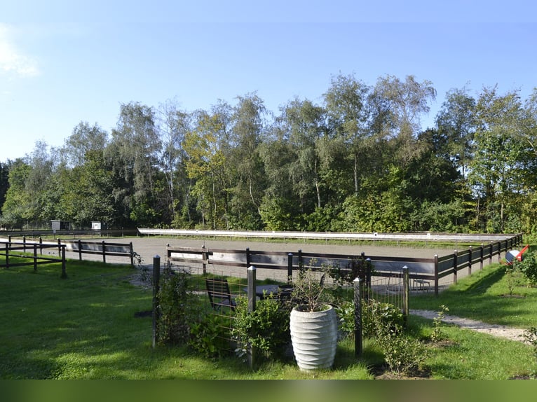 Renovated residential building with six horse stalls, riding area, and pastures enclosed by wooden f