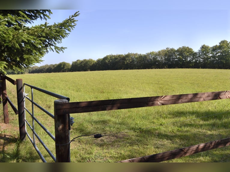 Renovated residential building with six horse stalls, riding area, and pastures enclosed by wooden f