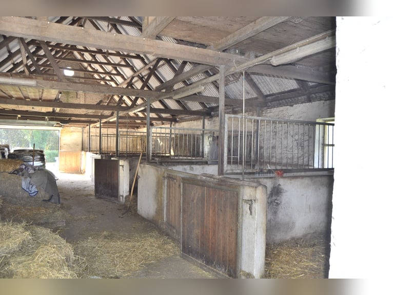 Renovated residential building with six horse stalls, riding area, and pastures enclosed by wooden f