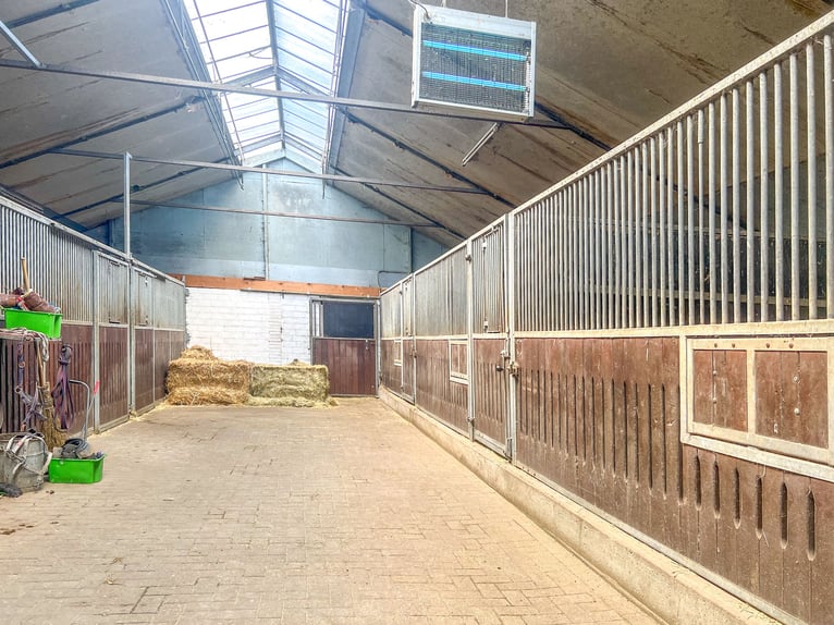 RESERVIERT!!!! Reetdachhaus mit privater Reitanlage