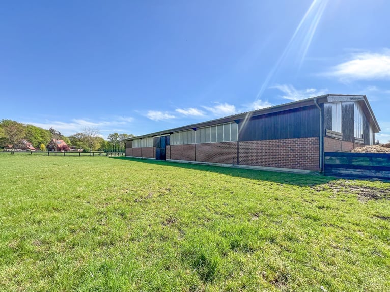RESERVIERT!!!! Reetdachhaus mit privater Reitanlage