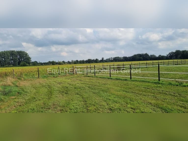 RESERVIERT: Reitanlage bei Hamburg mit 25ha Eigengrund