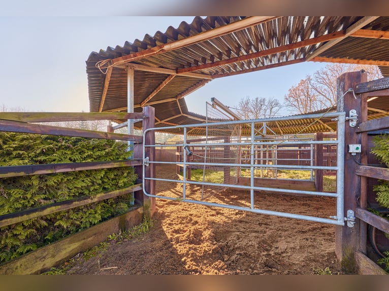 *RESERVIERT* Reitanlage in Niedersachsen (Landkreis Uelzen) mit Wohn- und Gästehaus zu verkaufen!