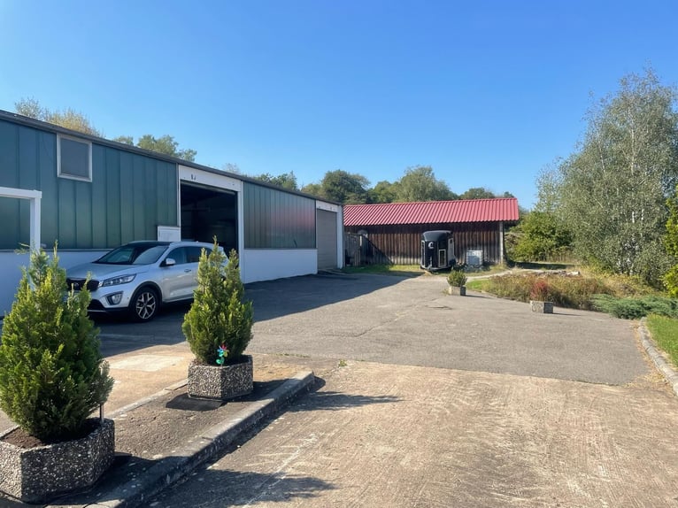 Residential building (3 units) with open stable/box stalls, paddock trail, riding arena, workshop ha