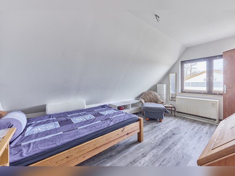 Riding facility in Dannenberg (Elbe), Lower Saxony – renovated farm and residential building with po