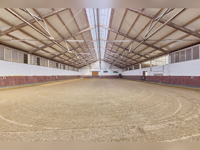 Riding facility in Dannenberg (Elbe), Lower Saxony – renovated farm and residential building with po