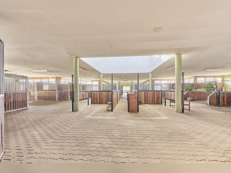 Riding facility in Mecklenburg-Vorpommern – located directly on the Mecklenburg Lake District in a p