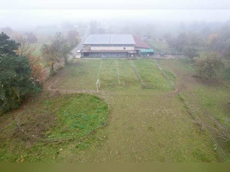 Riding facility in Osterburken – versatile usage options on a spacious estate