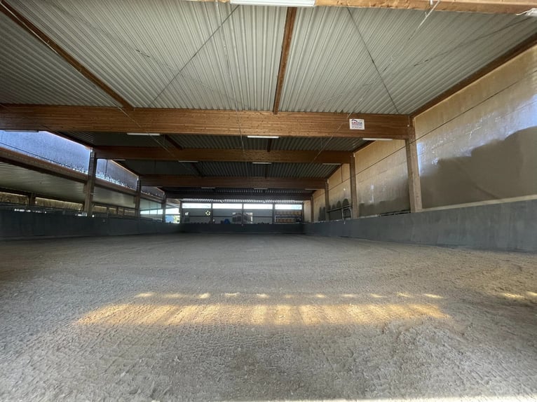 Riding facility in Osterburken – versatile usage options on a spacious estate