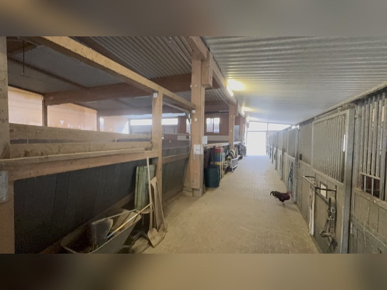 Riding facility in Osterburken – versatile usage options on a spacious estate