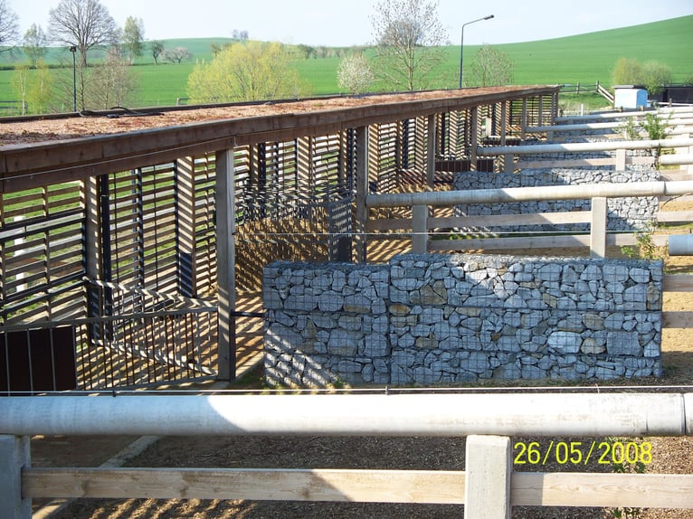 Riding facility near Dresden – Part share