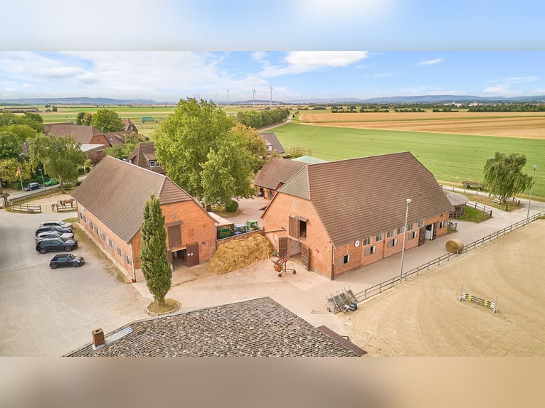 Riding facility near Hanover – 29 horse boxes, professional training facilities & 4 residential unit